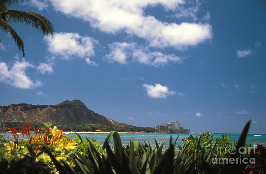 Diamond Head And Waikiki Photograph by Tomas del Amo - Printscapes Diamond Head And Waikiki Photograph by Tomas del Amo - Printscapes