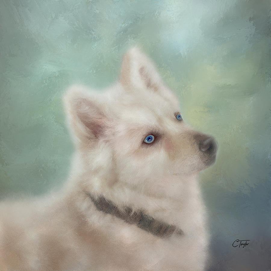Diamond, The White Shepherd Mixed Media by Colleen Taylor