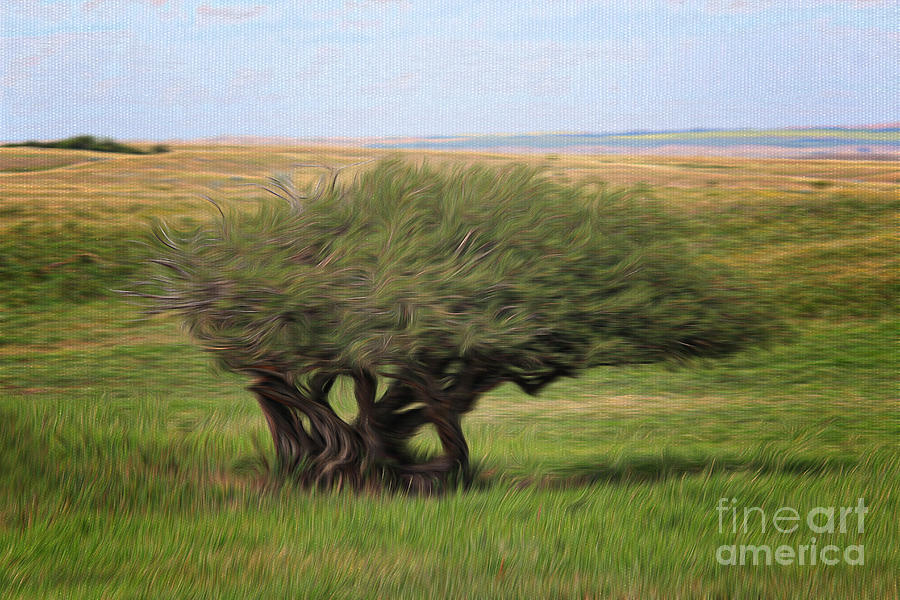 Diamond Willow Tree by Vickie Emms