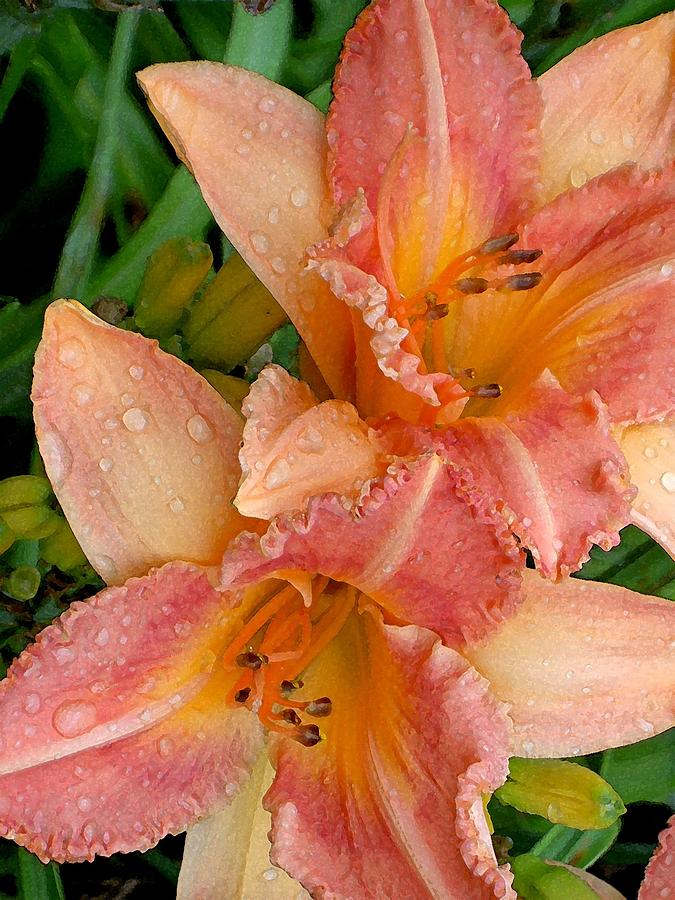 Diamonds and Lilies Watercolor Photograph by Carolyn Jacob