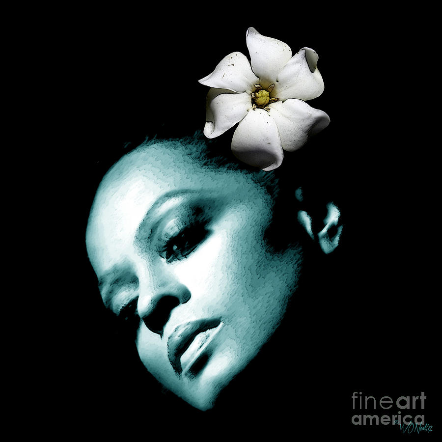 Portrait Digital Art - Diana Ross by Walter Neal