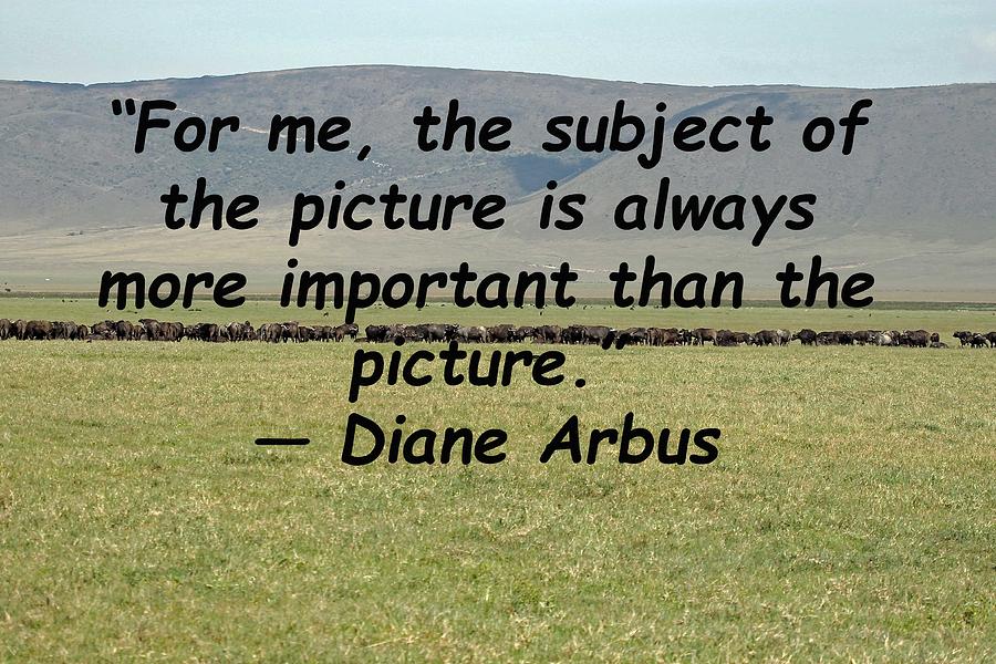 Diane Arbus Quote Photograph by Tony Murtagh