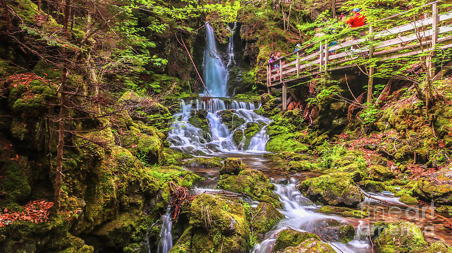 Waterfall Photograph - Dickson Falls in Fundy National Park by Claudia M Photography
