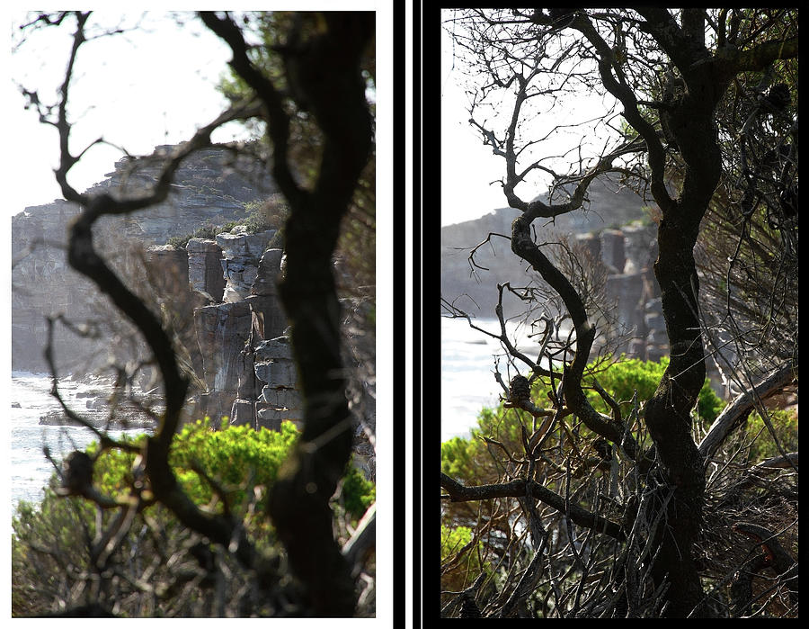 Nature Photograph - Did THe Little Tree Survived The Cliff FAce Collapse by Miroslava Jurcik