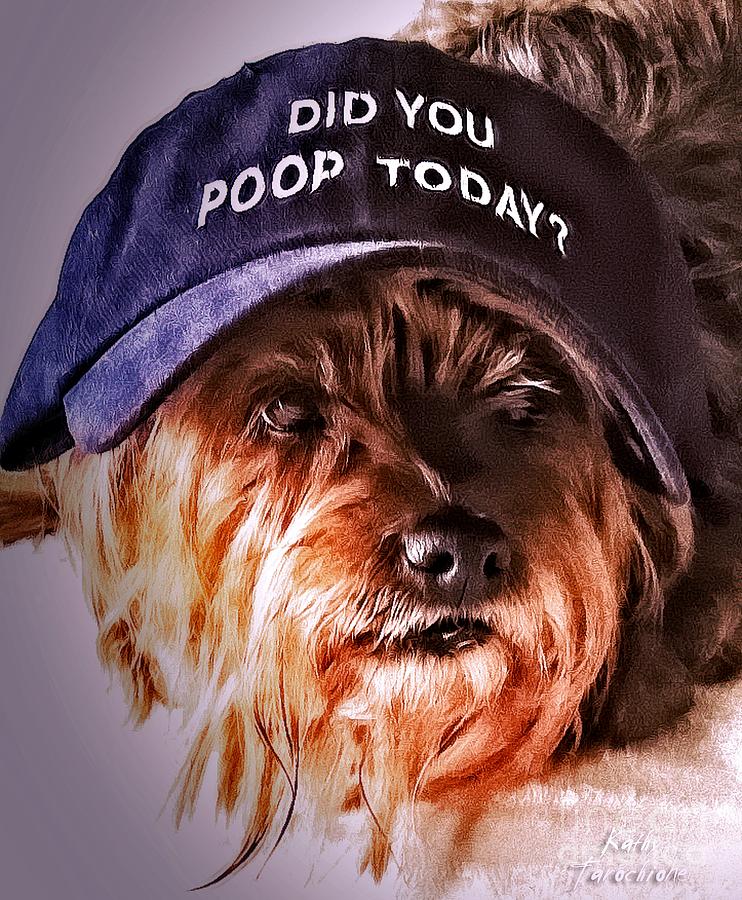 Dog Digital Art - Did You Poop Today by Kathy Tarochione