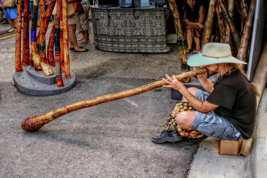 Didgeridoo At The Ann Arbor Art Fair Photograph