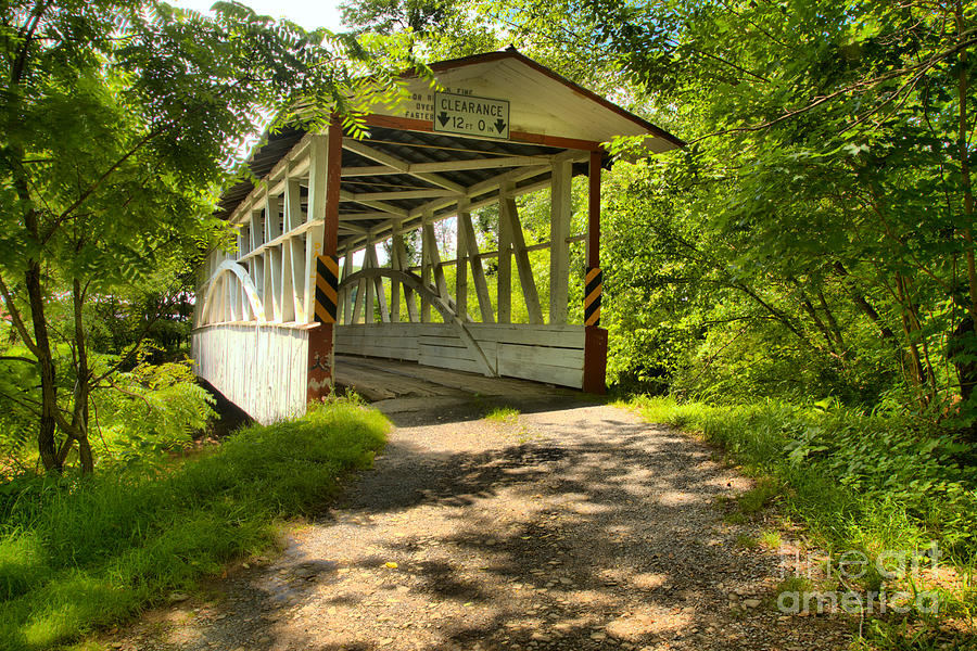 Diehls Bridge In The Woods Photograph by Adam Jewell