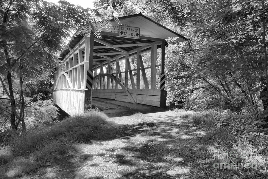 Diehls Bridge In The Woods Black And White Photograph by Adam Jewell