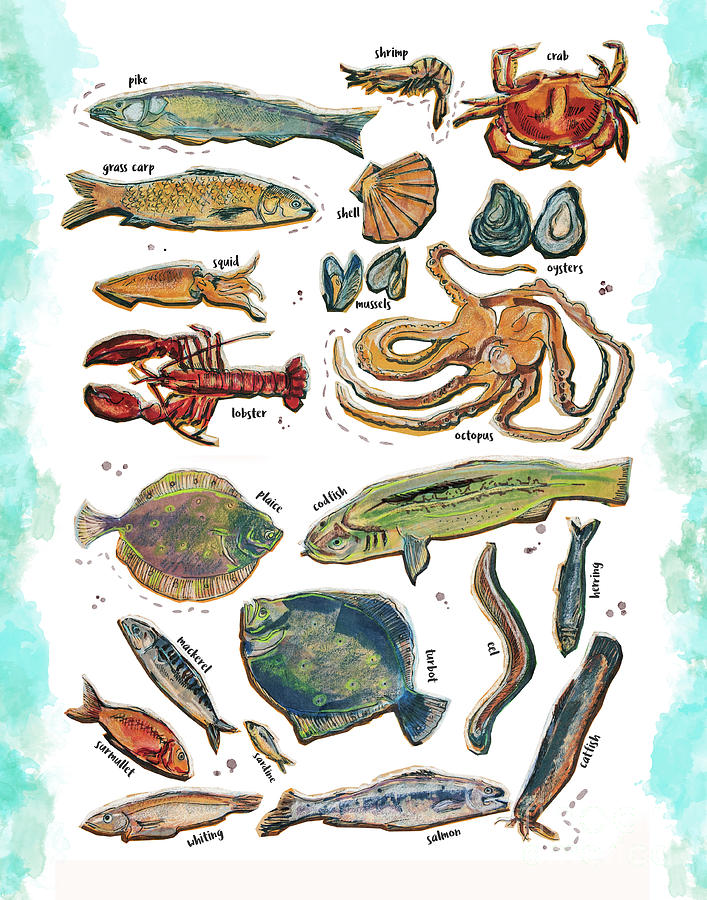 Different Fishes And Seafood Drawing by Ariadna De Raadt