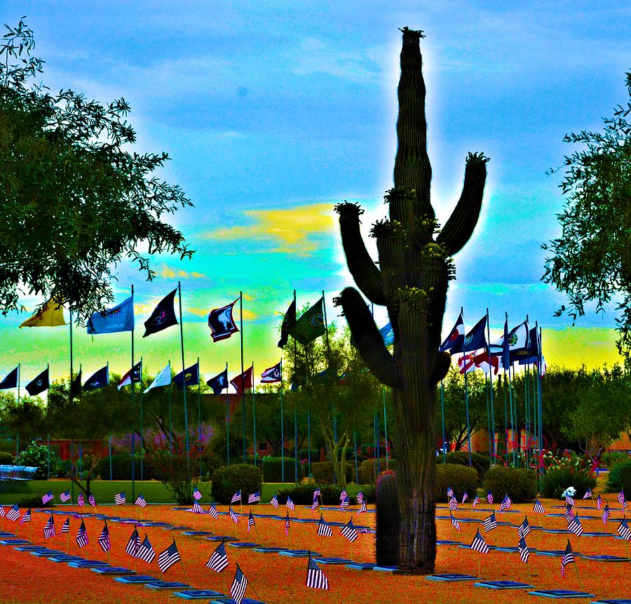 Flag Photograph - Digital Art Vets Cemetery by Nancy Jenkins