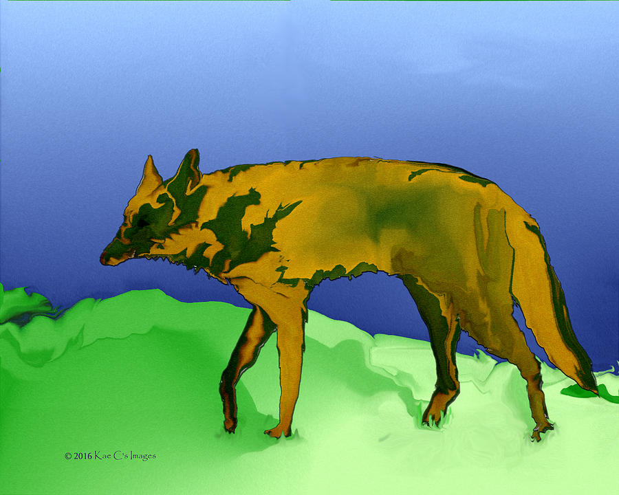 Montana Coyote Digital Art by Kae Cheatham