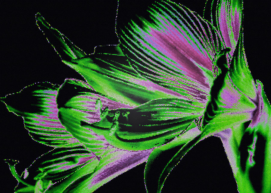 Digital flower Digital Art by Evelyn Patrick
