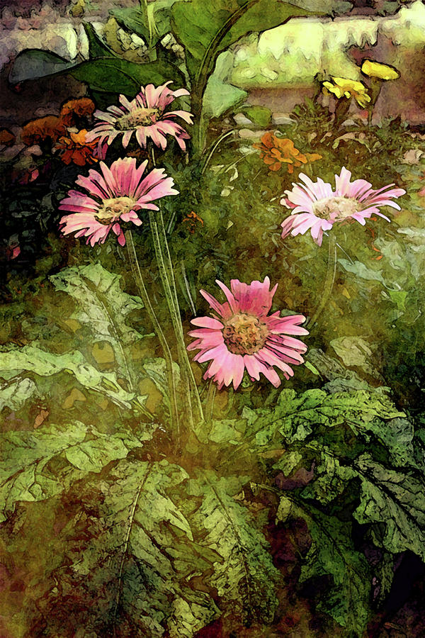 Digital Lost Watercolor Gerbera Daisy 2041 LW_2 Photograph by Steven Ward