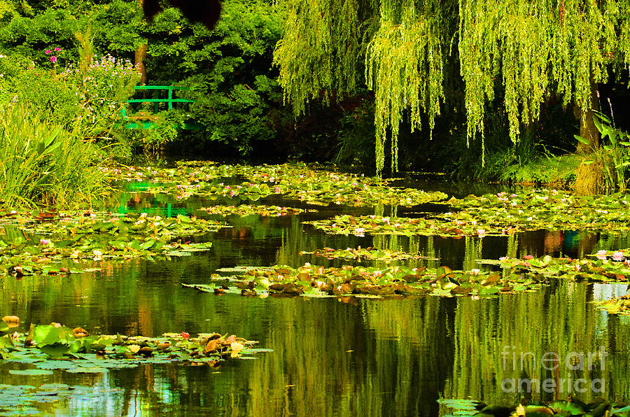 Digital Paining of Monets Water Garden  Photograph by Mary Jane Armstrong