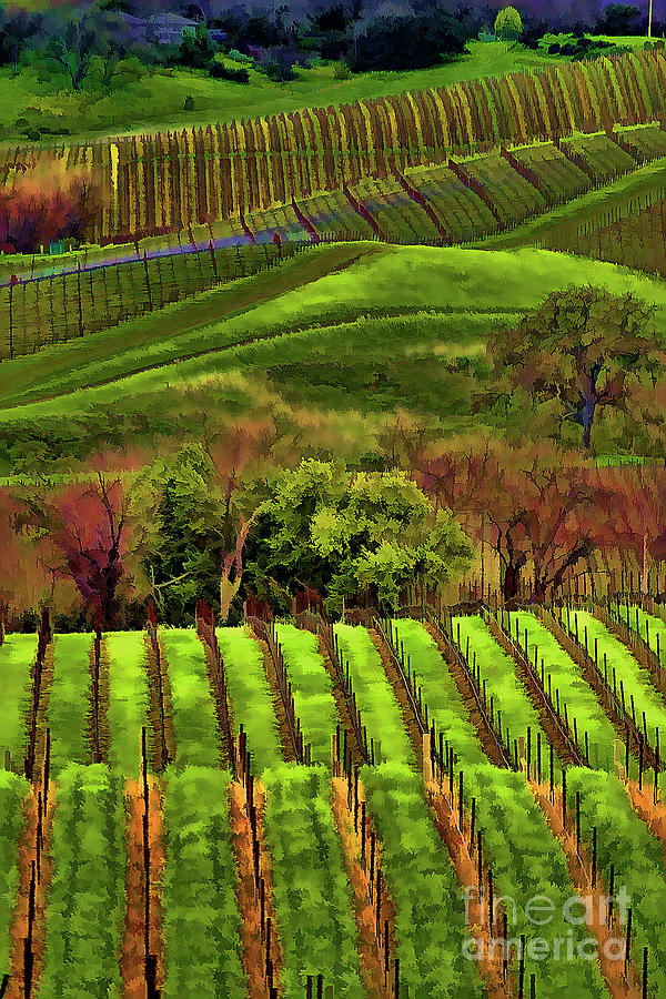 Enhanced Stunning Napa Valley Vineyards Vibrant  Digital Art by Chuck Kuhn