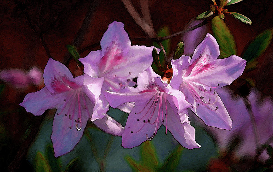 Digital Painting Azalea Blossoms 9779 DP_2 Photograph by Steven Ward