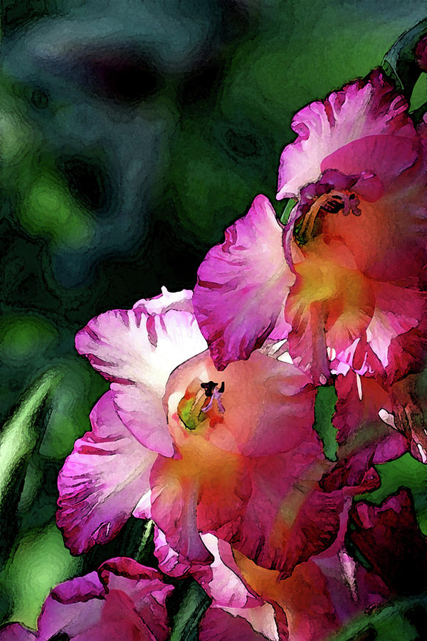Digital Painting Glowing Hot Pink and Yellow Gladiolus 3048 DP_2 Photograph by Steven Ward