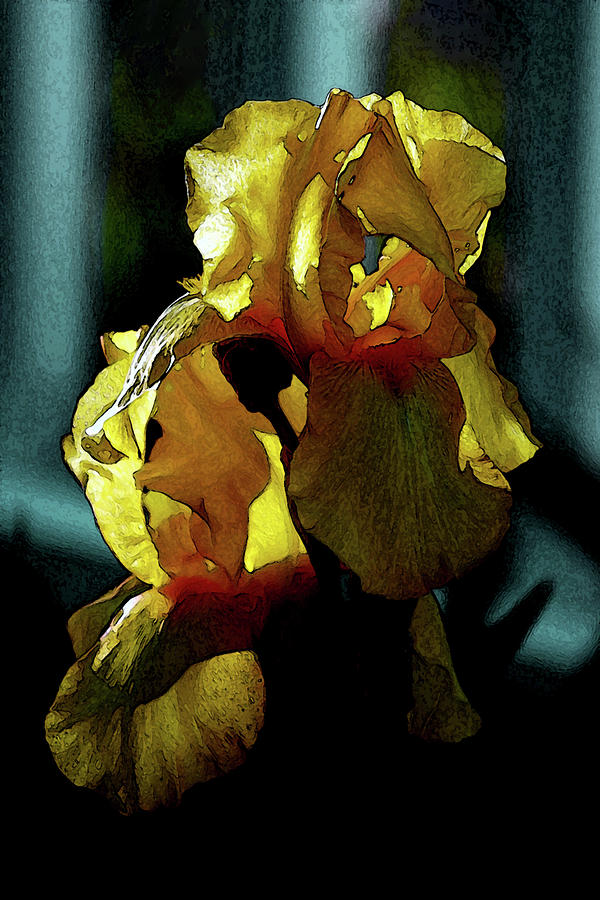 Digital Painting Gold Dust Iris 6741 DP_2 Photograph by Steven Ward