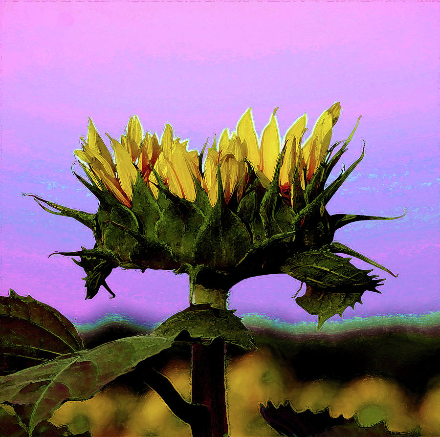Digital Painting Golden Cup Sunflower 2249 DP_2 Photograph by Steven Ward