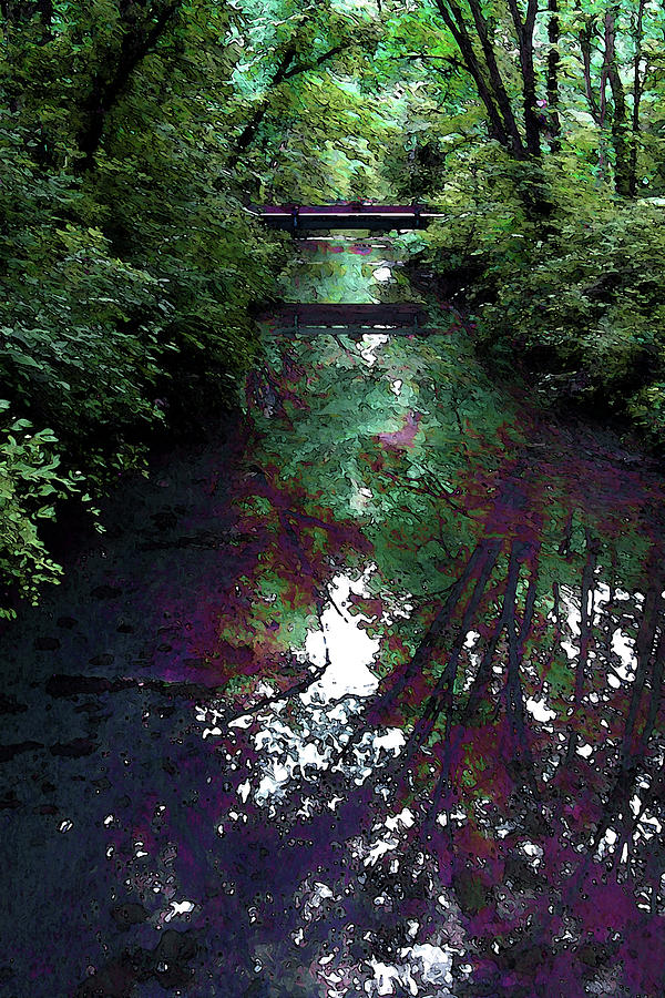 Digital Painting Hidden Woodland Stream 2864 DP_2 Photograph by Steven Ward