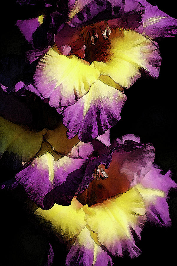 Digital Painting Intense Purple and Yellow Gladiolus 3036 DP_2 Photograph by Steven Ward
