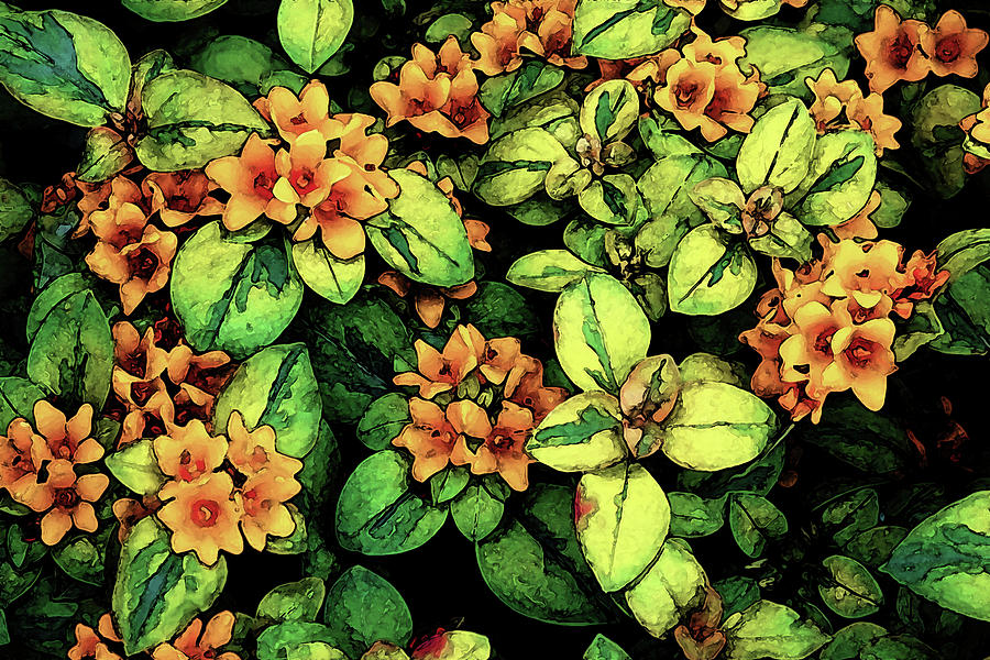 Digital Painting Quilted Garden Flowers 2563 DP_2 Photograph by Steven Ward