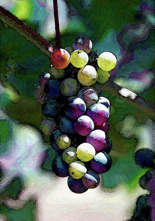 Digital Painting River Ridge Winery 2681 DP_2 Photograph by Steven Ward