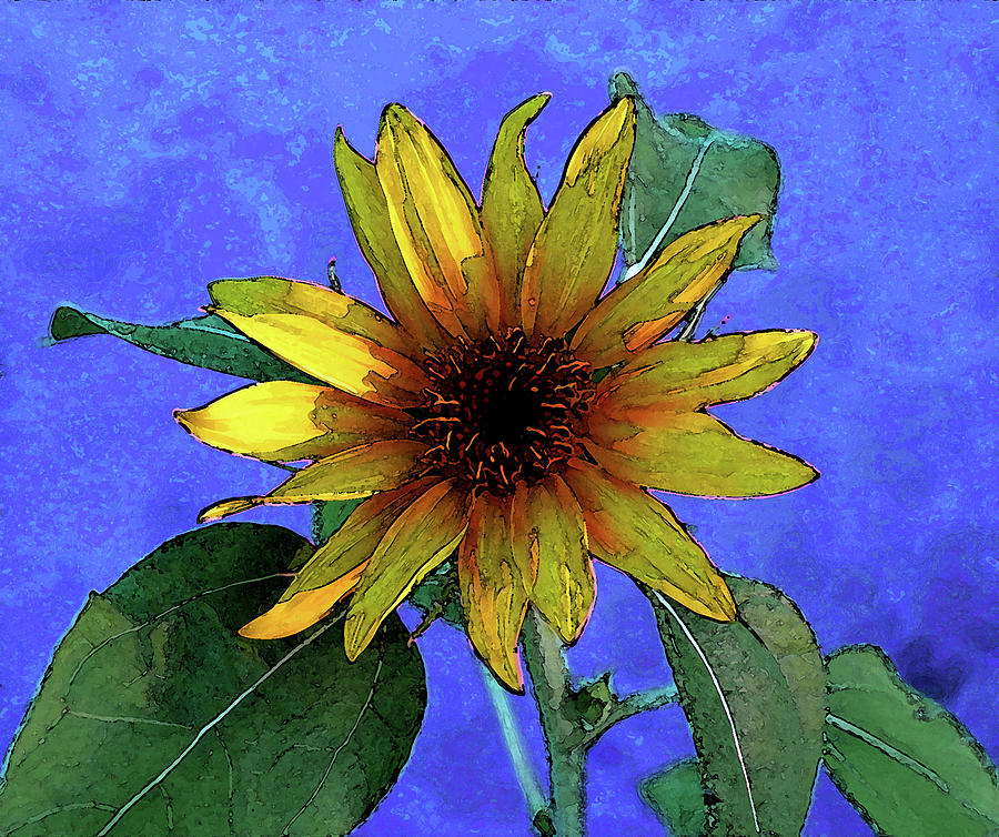 Digital Painting Sunflower in Blue 2278 DP_2 Photograph by Steven Ward