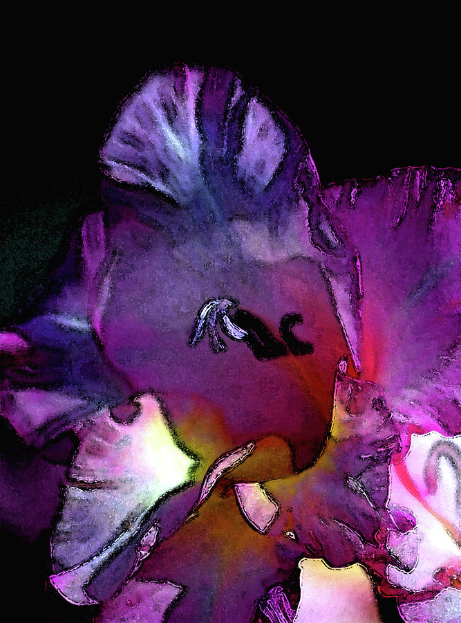 Digital Painting Vibrant Gladiolus 3015 DP_2 Photograph by Steven Ward