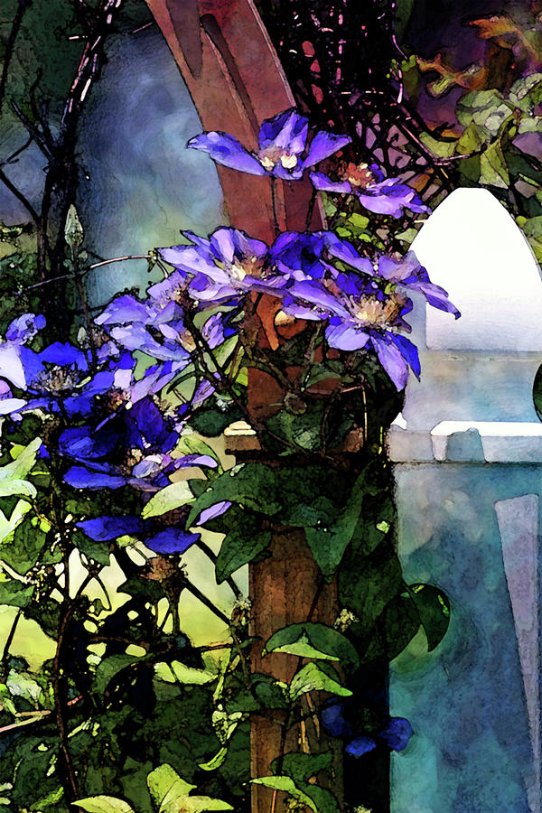 Digital Watercolor Clematis Climbing the Gate 1308 W_2 Photograph by Steven Ward