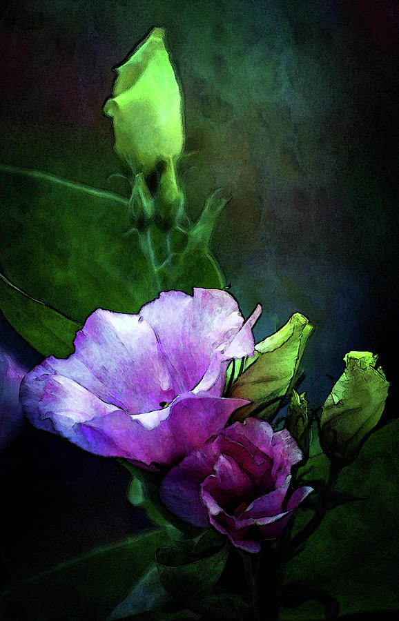 Digital Watercolor Elegance 3700 W_2 Photograph by Steven Ward