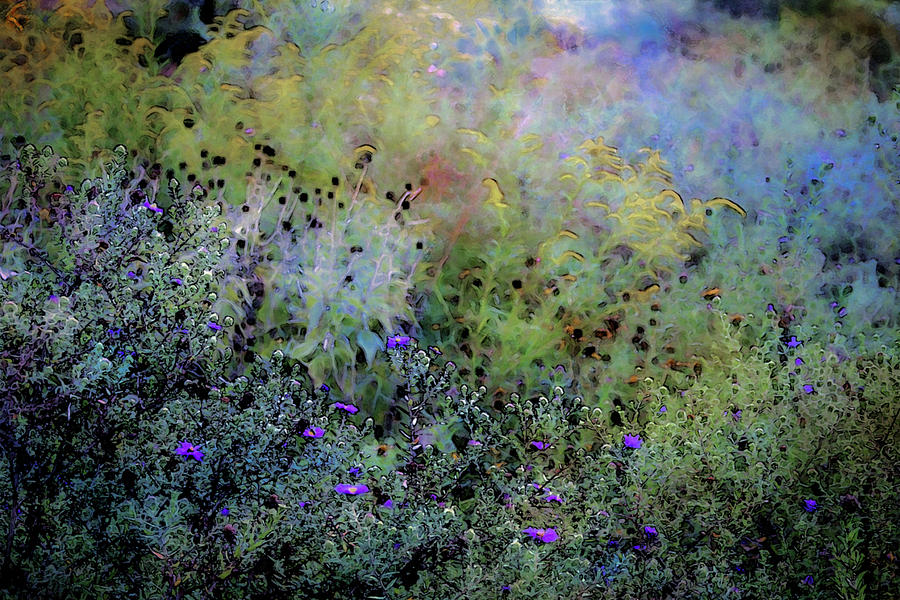 Digital Watercolor Field of Wildflowers 4064 W_2 Photograph by Steven Ward