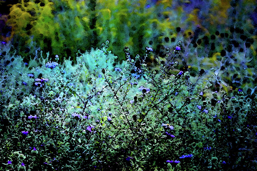 Digital Watercolor Late Season Wildflowers 4065 W_2 Photograph by Steven Ward