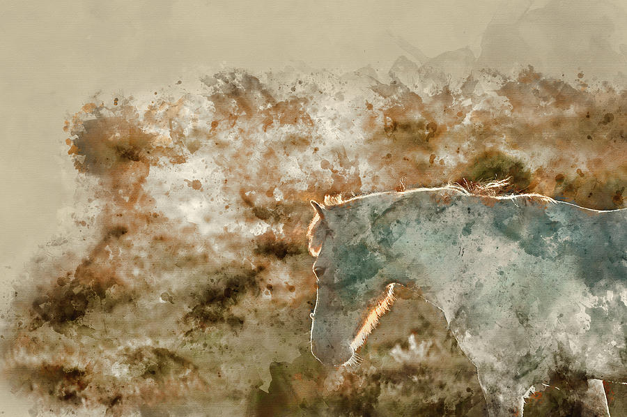Mammal Photograph - Digital watercolor painting of Beauttiful close up of New Forest by Matthew Gibson
