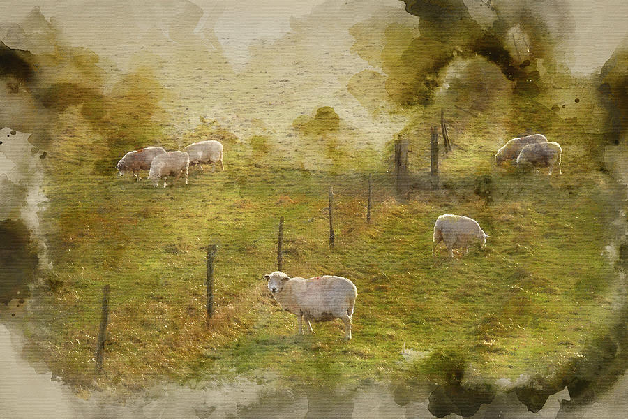 SHEEP GRAZING PEACEFUL VALLEY PASTURE LANDSCAPE PAINTING ART REAL CANVAS PRINT 