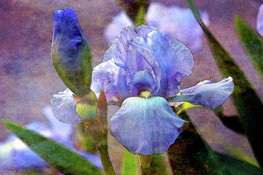 Digital Watercolor Sky Blue Iris 0033 W_2 Photograph by Steven Ward