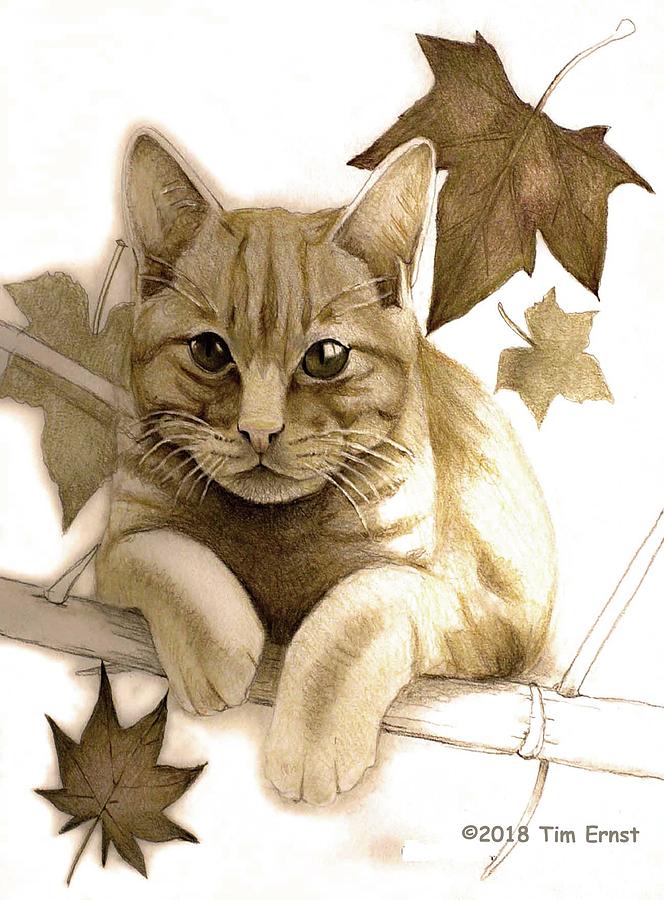 Digitally Enhanced Cat Image Digital Art by Tim Ernst