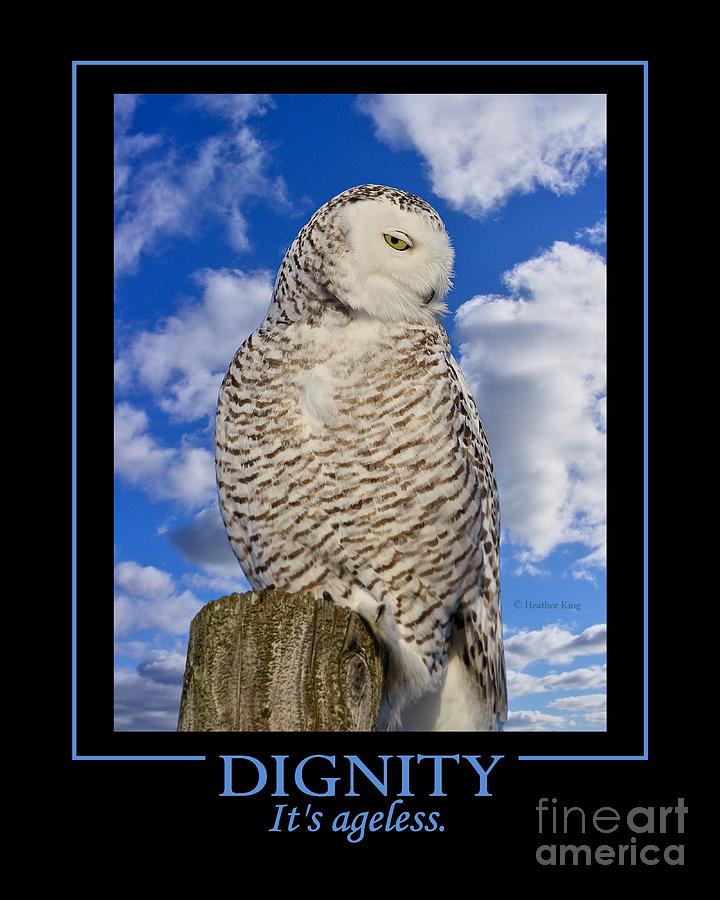 Dignity Photograph by Heather King