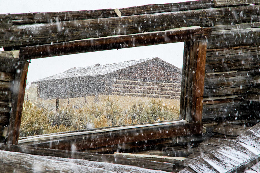 Dilapidated Building Meigh Ranch During Snow Photograph by Sam Sherman