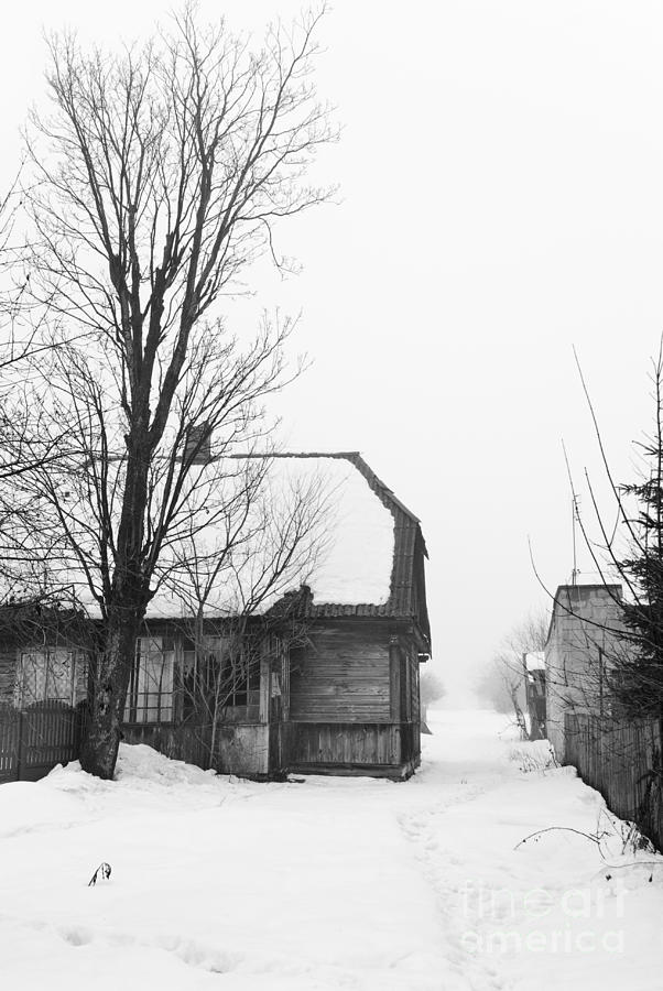 Winter Photograph - Dilapidated wooden shack in winter by Arletta Cwalina