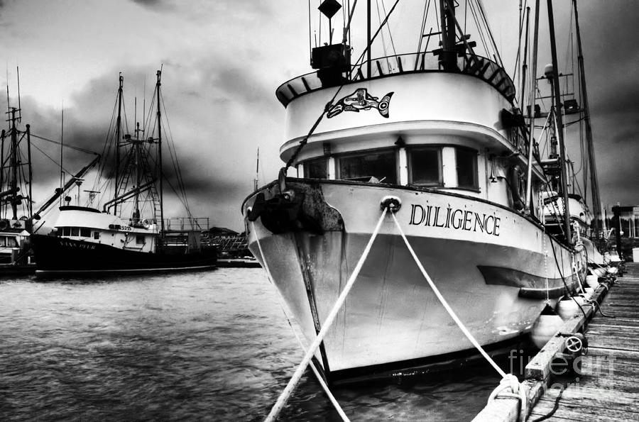 Diligence BW Photograph by Bob Christopher