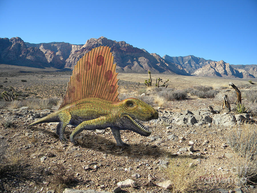 Prehistoric Mixed Media - Dimetrodon In The Desert by Frank Wilson
