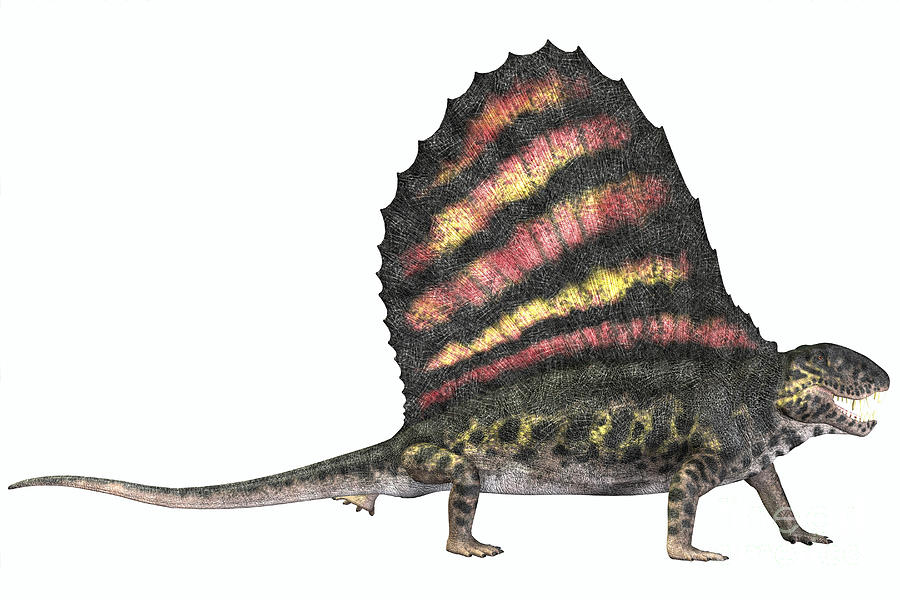 realistic dimetrodon