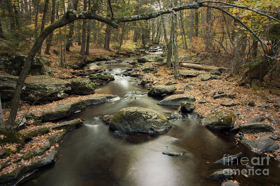 Fall Photograph - Dingmans Creek by Debra Fedchin