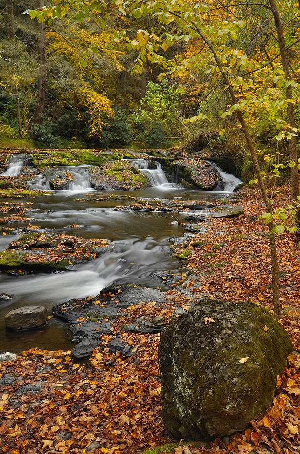 Dingmans Creek Fall Photograph by Stephen Vecchiotti