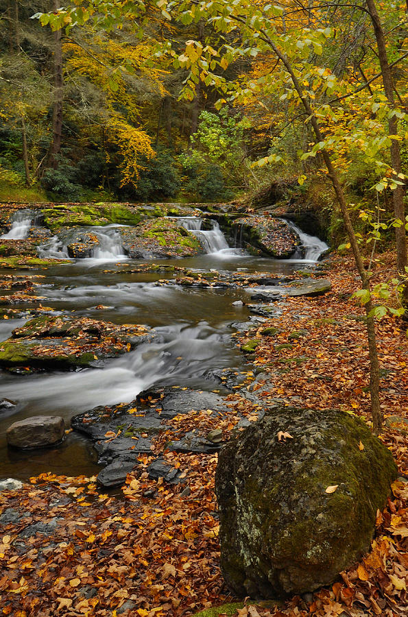 Dingmans Creek In Autumn Photograph by Stephen Vecchiotti