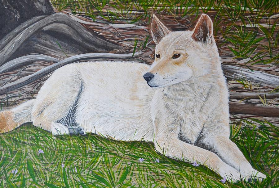 Dingo Painting by Mady Lewis - Pixels