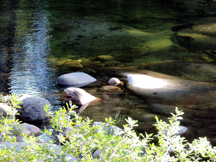 Dinkey Creek Reflection 3 Photograph