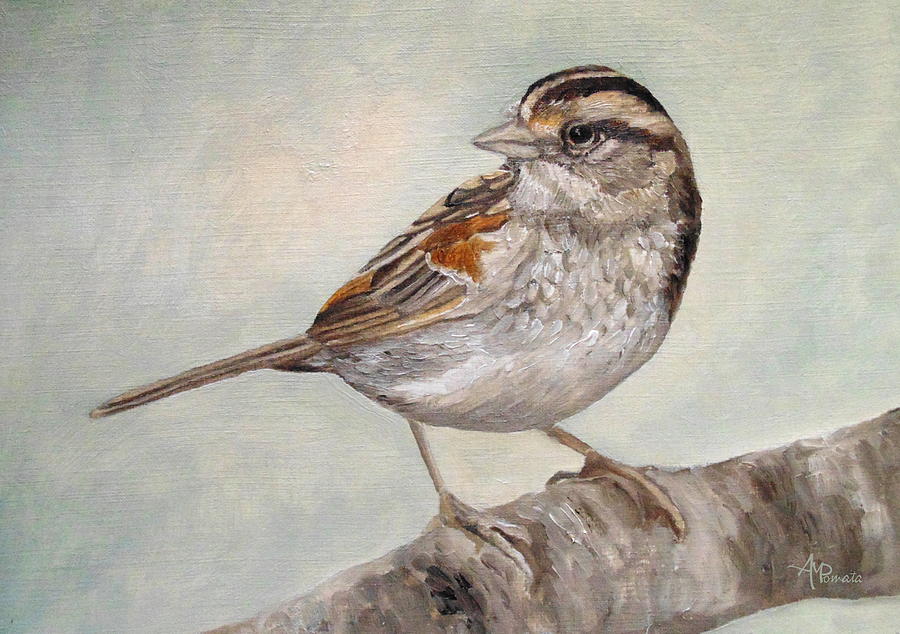 Dinky Sparrow Painting by Angeles M Pomata