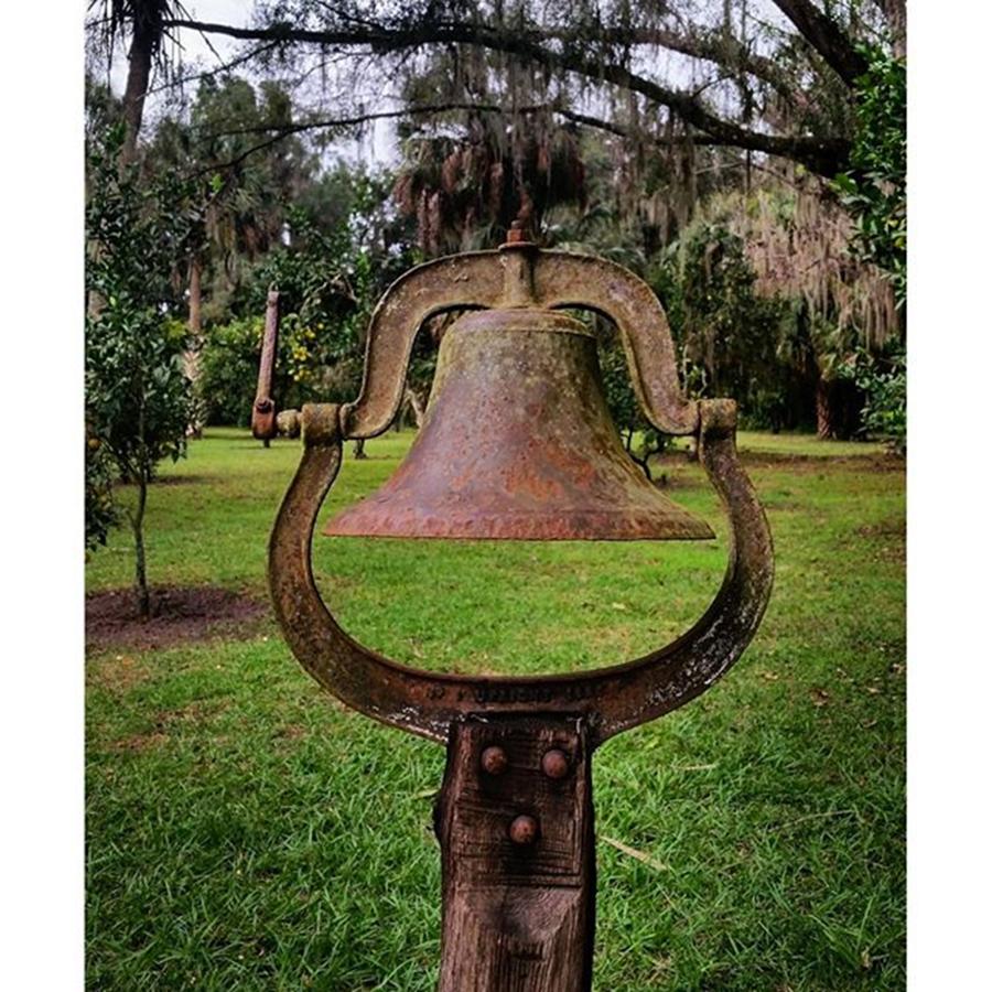 Thanksgiving Photograph - Dinner Bell! Lets Eat! Too Early? by Karen Breeze